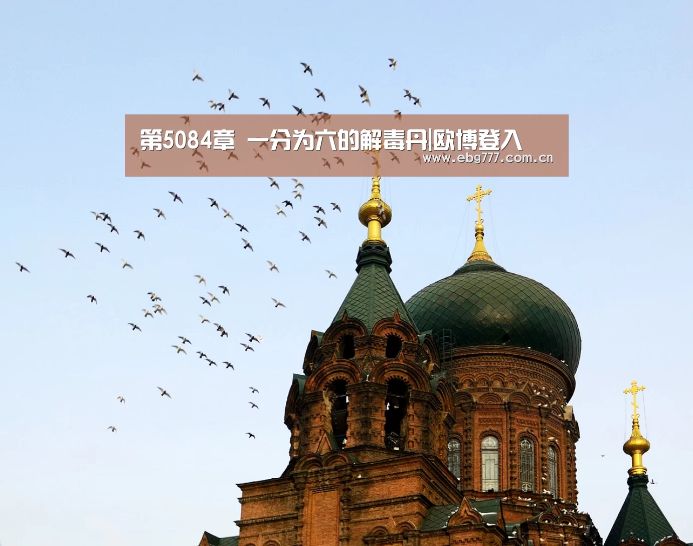 第5084章 一分为六的解毒丹|欧博登入(图4) 欧博官方平台