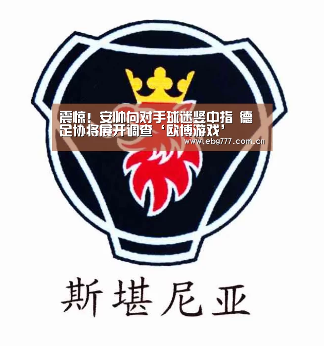 震惊！安帅向对手球迷竖中指 德足协将展开