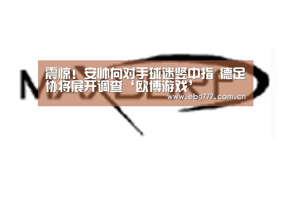震惊!安帅向对手球迷竖中指 德足协将展开调查‘欧博游戏’(图2) 欧博官网