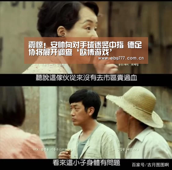 震惊!安帅向对手球迷竖中指 德足协将展开调查‘欧博游戏’(图4) 欧博登入
