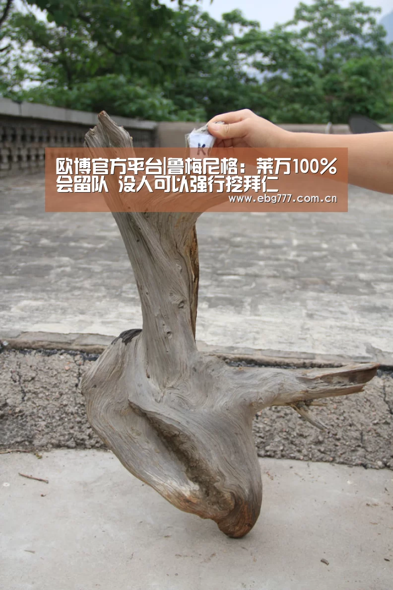欧博官方平台|鲁梅尼格:莱万100%会留队 没人可以强行挖拜仁(图1) 欧博官方平台